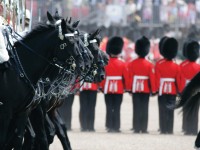 London guards